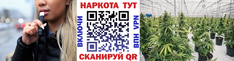Купить закладку ГАШ Cocaine Мефедрон Канабис Медынь