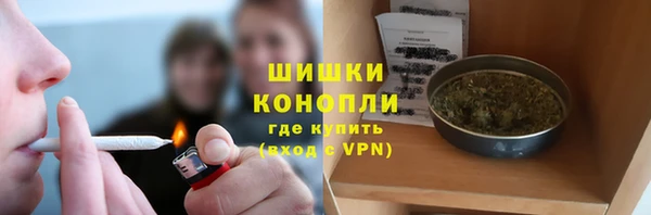 стаф Бердск