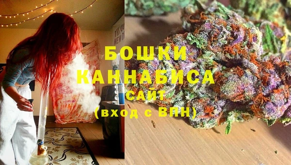стаф Бердск