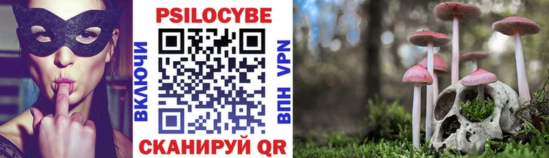Купить Медынь Псилоцибиновые грибы мицелий